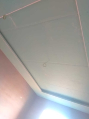 IMG-20240818-WA0056