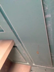 IMG-20240818-WA0057